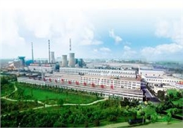 山东太阳纸业上大压幼技改项目